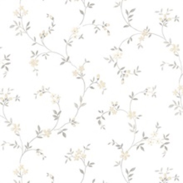 Poshmark banner for @anglo